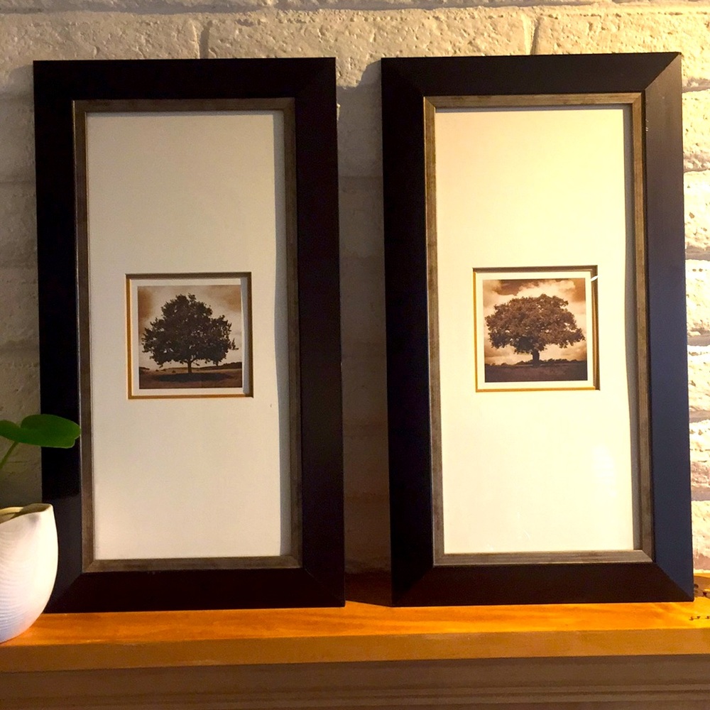 Set of sepia toned Tree art photographs